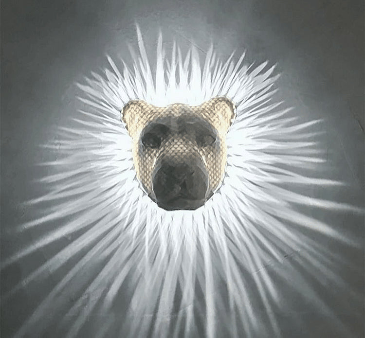 Wall Art™ 3D zvířata LED nástěnné světlo